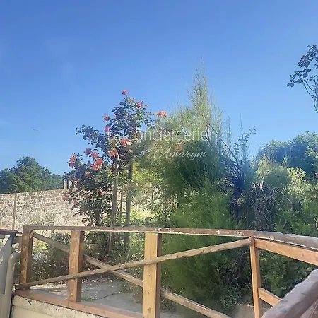 L'Ile Paradis Maison Avec Terrasse Et Jardin *